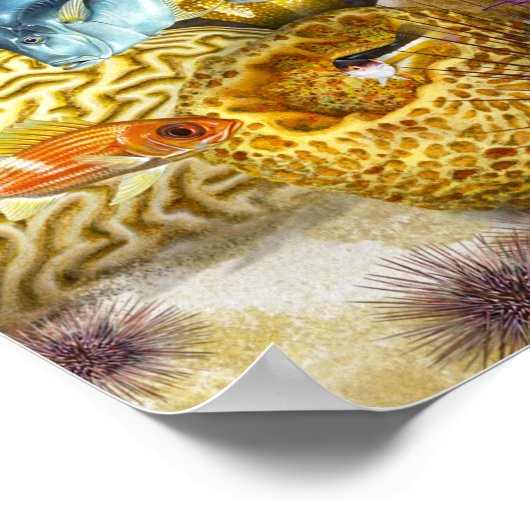 Loggerhead-Meeresschildkröte über Riff Poster (Ecke)