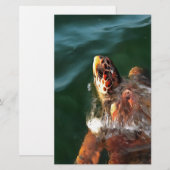 Loggerhead Sea Turtle Artistic Portrait Briefpapier (Vorne/Hinten)