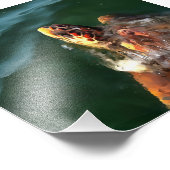 Loggerhead Sea Turtle Artistic Portrait Fotodruck (Ecke)