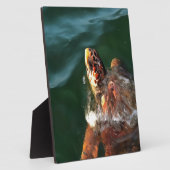 Loggerhead Sea Turtle Artistic Portrait Fotoplatte (Seite)