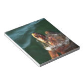 Loggerhead Sea Turtle Artistic Portrait Notizblock (angewinkelt)