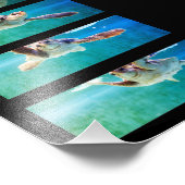 Loggerhead Sea Turtle Study Foto (Ecke)
