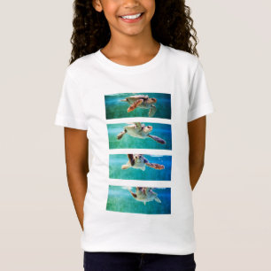 Loggerhead Sea Turtle Study Shirt