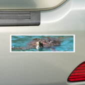 Loggerhead Sea Turtle Wildlife Art Autoaufkleber (Auf Auto)