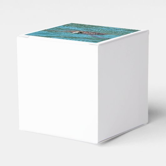 Loggerhead Sea Turtle Wildlife Art Geschenkschachtel (Vorderseite)