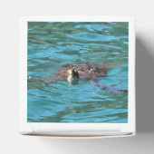 Loggerhead Sea Turtle Wildlife Art Geschenkschachtel (Oben)
