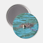 Loggerhead Sea Turtle Wildlife Art Magnet (Vorderseite/Rückseite)