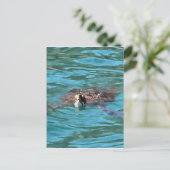 Loggerhead Sea Turtle Wildlife Art Postkarte (Stehend Vorderseite)