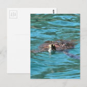 Loggerhead Sea Turtle Wildlife Art Postkarte (Vorne/Hinten)
