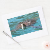 Loggerhead Sea Turtle Wildlife Art Rechteckiger Aufkleber (Umschlag)