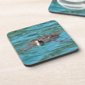 Loggerhead Sea Turtle Wildlife Art Untersetzer (Linke Seite)