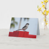 Loggerhead Shrike Bird Grußkarte Karte (Gelbe Blume)