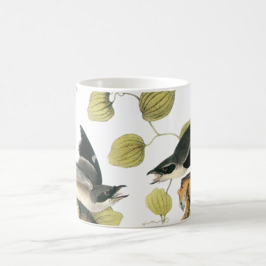 Loggerhead Shrike von Audubon Kaffeetasse (Mittel)