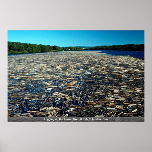 Logging auf dem Fraser River, British Columbia, Ca Poster (Vorne)