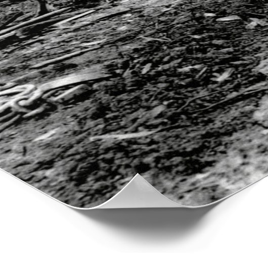 LOGGING MIT STEAM DONKEY c. 1879 Poster (Ecke)