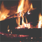 Loggt sich in der Feuer-Feuer-Fotografie ein Aufkleber (Vorderseite)