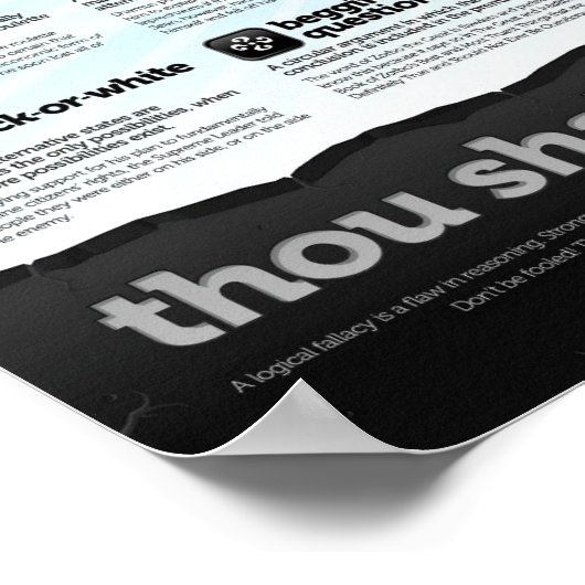 Logical Fallacies Poster (Ecke)