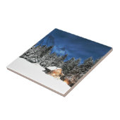 Login-Bergsicht Fliese (Seite)