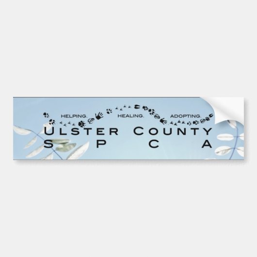 LOGO Autoaufkleber (Vorne)