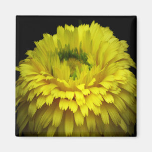 Logo-Blume Magnet