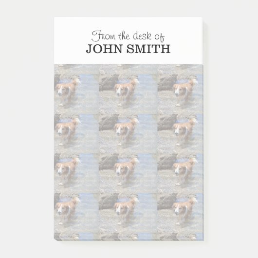 Logo der Foto-Familie Post-it®-Notizen Post-it Klebezettel (Vorderseite)