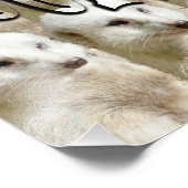 Logo der Meerkat Army, Fotodruck (Ecke)