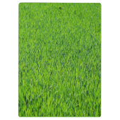 Logo-Grüngras Klemmbrett (Rückseite)
