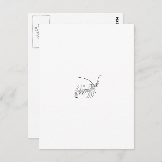 Logo Postkarte (Vorne/Hinten)