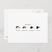 Logo "Sea Ducks" (mit dem Titel) Postkarte (Vorne/Hinten)