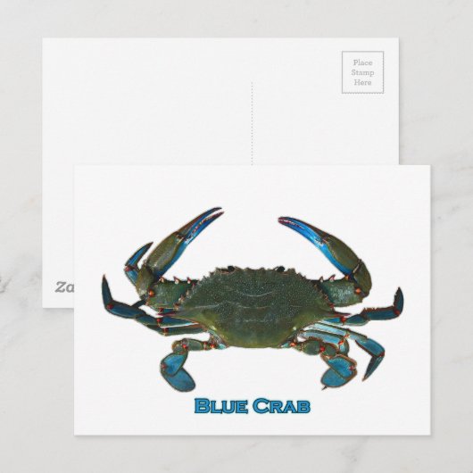 Logo von Atlantic Blue Crab Postkarte (Vorne/Hinten)