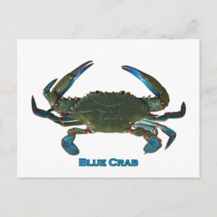 Logo von Atlantic Blue Crab Postkarte