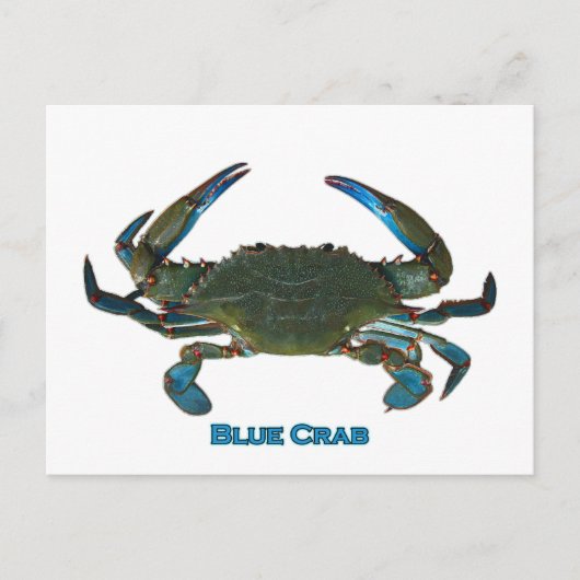 Logo von Atlantic Blue Crab Postkarte (Vorderseite)
