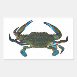 Logo von Atlantic Blue Crab Rechteckiger Aufkleber