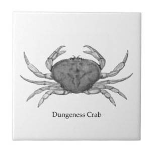 Logo von Dungeness Crab (Line Art. Fliese