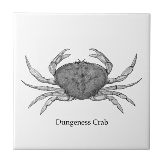 Logo von Dungeness Crab (Line Art. Fliese (Vorderseite)