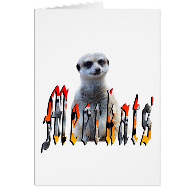 Logo von Meerkat und Meerkats Picture (Vorne)