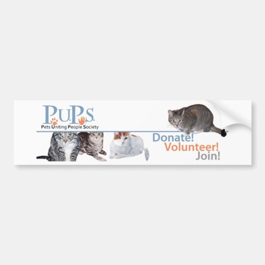 Logo-Werbeartikel mit Katzen Autoaufkleber (Vorne)
