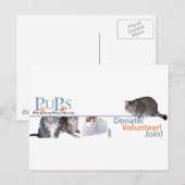 Logo-Werbeartikel mit Katzen Postkarte (Vorne/Hinten)