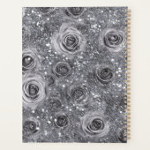 Logo-Werbefilm, Silver Gray Planer (Rückseite)