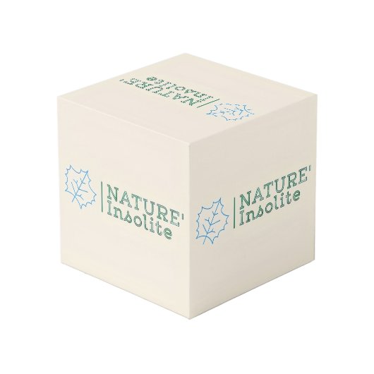 Logo-Würfel 10 cm Würfel (Rückseite Schrägansicht)