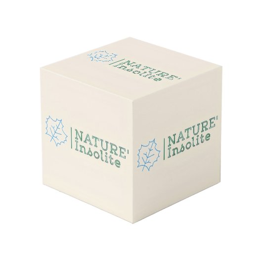 Logo-Würfel 10 cm Würfel (Vorderseite Schrägansicht)