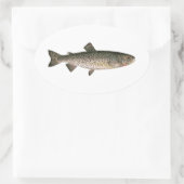 Lohanton Cutthroat Trout Ovaler Aufkleber (Tasche)