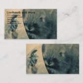 Löhne und mehr visitenkarte (Vorne/Hinten)