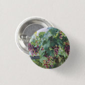 Loire-Tal-Weinberg – Französische Traubenmalerei Button (Vorne & Hinten)