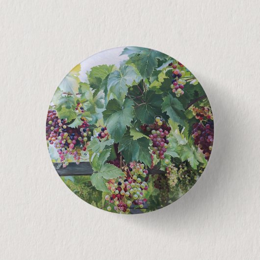 Loire-Tal-Weinberg – Französische Traubenmalerei Button (Vorderseite)