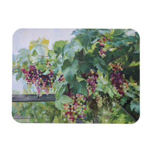 Loire-Tal-Weinberg – Französische Traubenmalerei Magnet