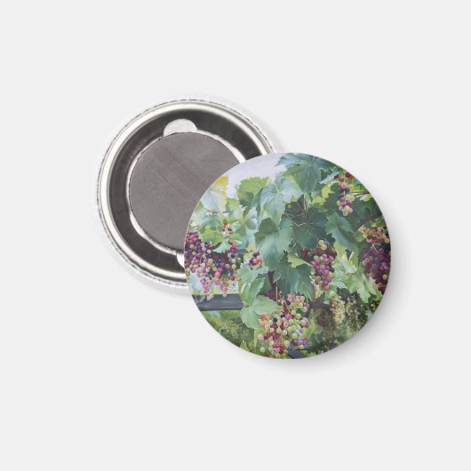 Loire Valley Vineyard – French Grape Painting Magnet (Vorderseite/Rückseite)