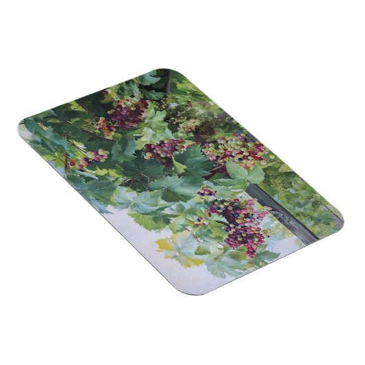 Loire Valley Vineyard – French Grape Painting Magnet (Rechte Seite)