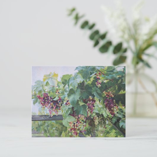 Loire Valley Vineyard – French Grape Painting Postkarte (Stehend Vorderseite)