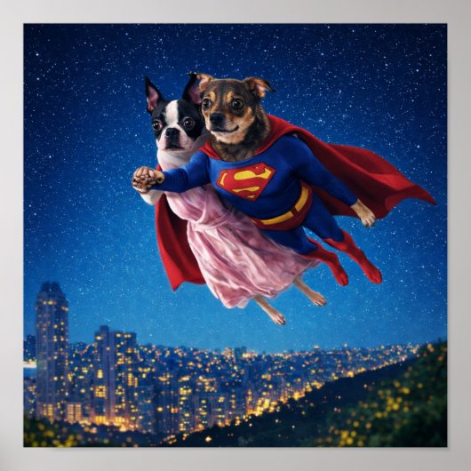 "Lois & Kal" Poster (Vorne)